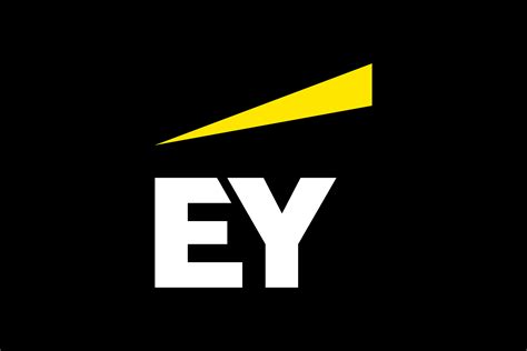 ey llp|ey company official website.